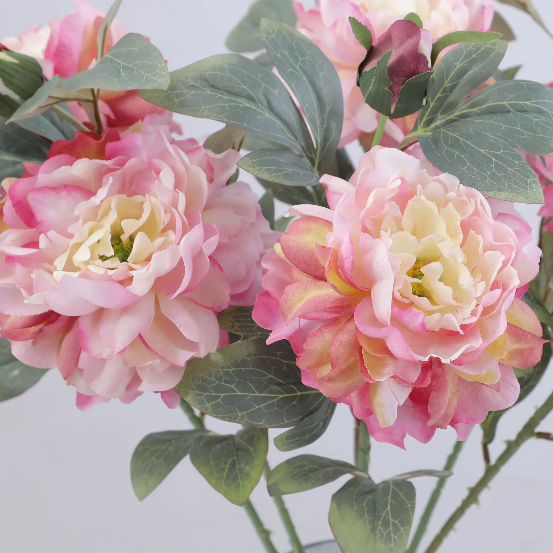 Artificial Peony Flower Single - Luxury Lifestyle Items ulasan dan harga