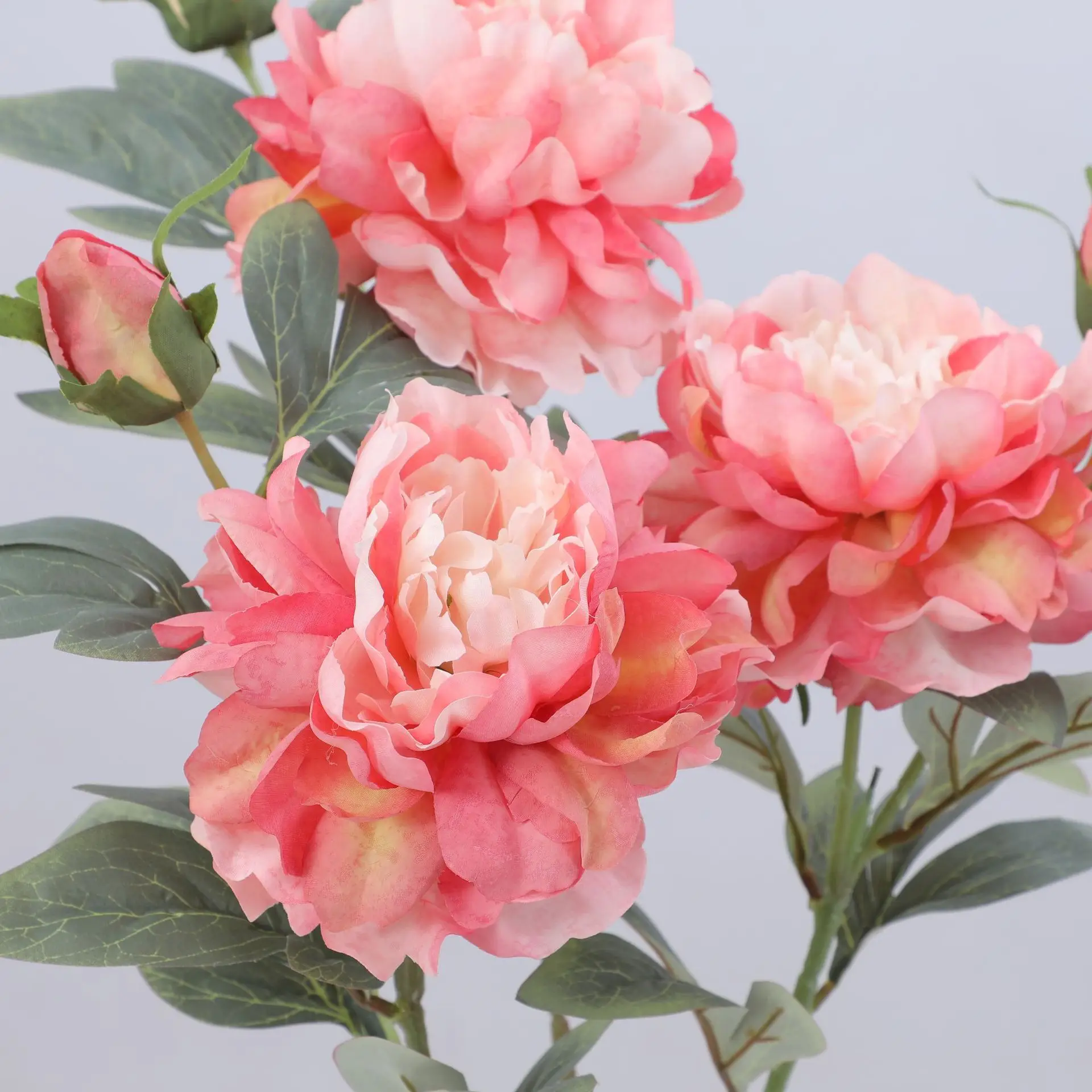 Artificial Peony Flower Single - Luxury Lifestyle Items ulasan dan harga